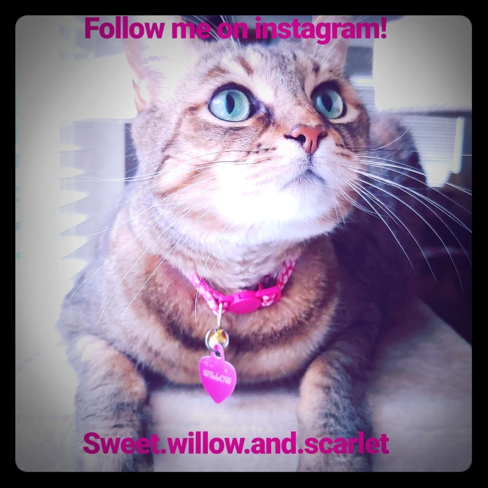 Follow me on Instagram!!!